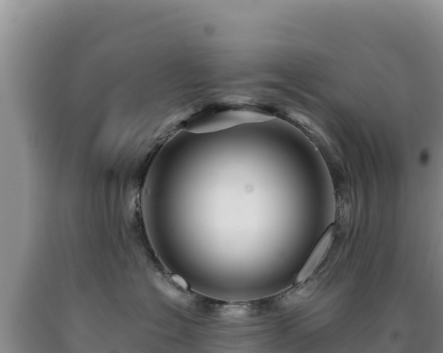 X0000090720574200707271155