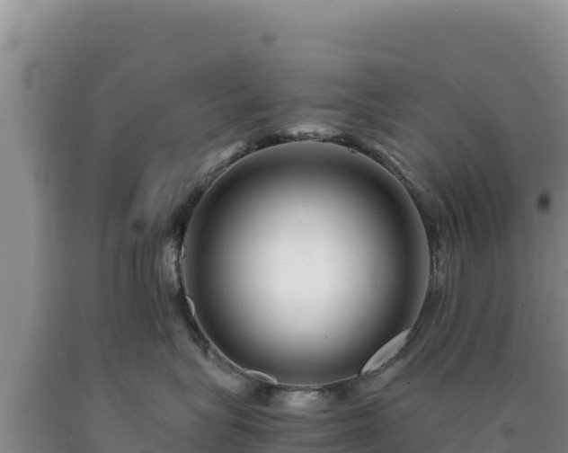 X0000090720575200707271155