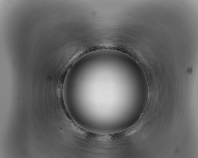X0000090720576200707271155
