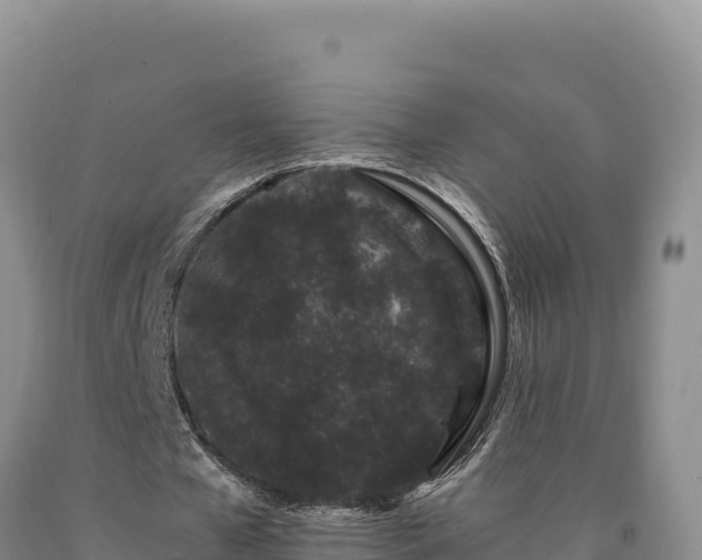 X0000090720577200707271154