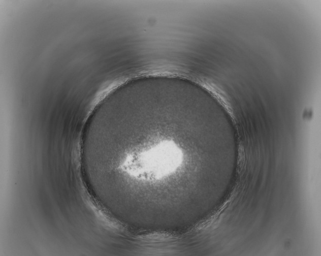 X0000090720578200707271154