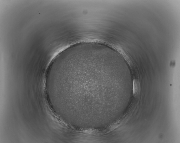 X0000090720579200707271154