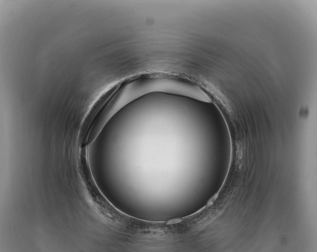 X0000090720580200707271154