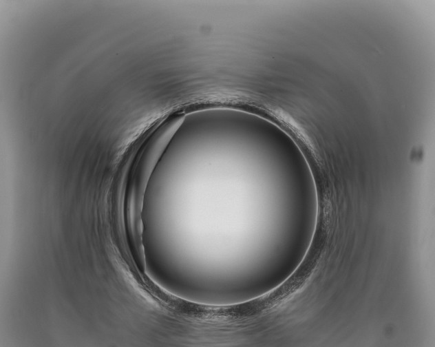 X0000090720581200707271154