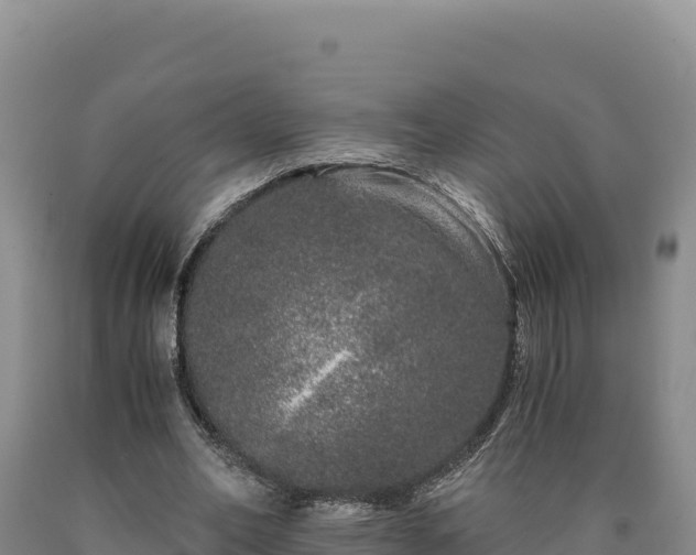 X0000090720582200707271154