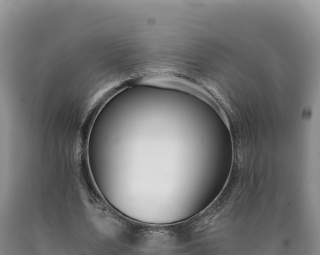 X0000090720583200707271154