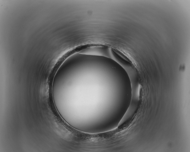 X0000090720584200707271154