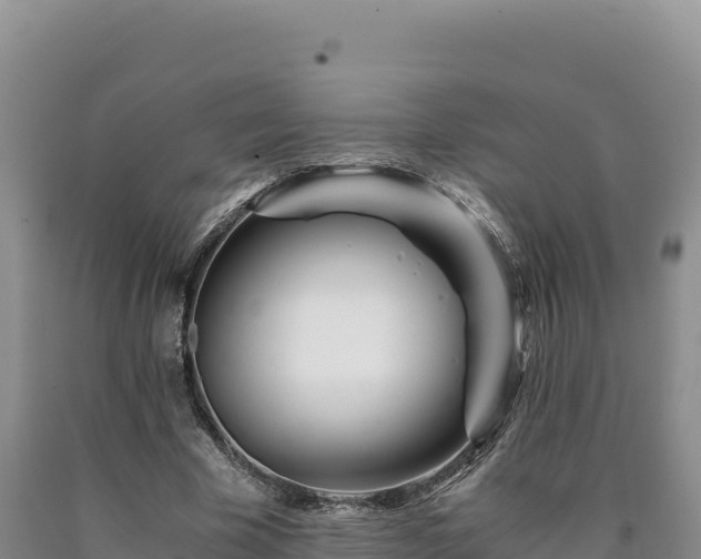 X0000090720585200707271154
