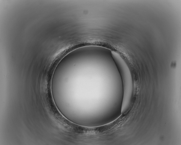 X0000090720587200707271154