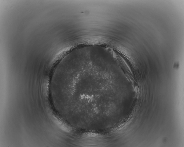 X0000090720590200707271154