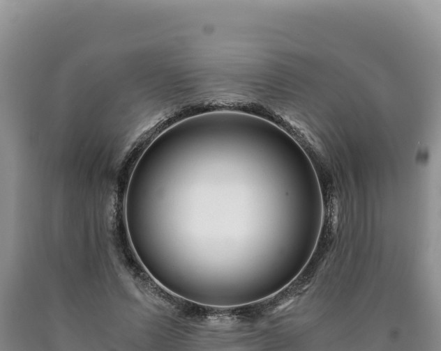 X0000090720591200707271154