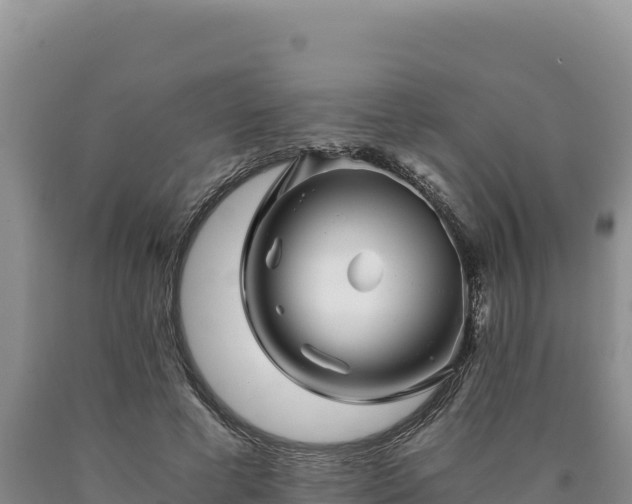 X0000090720593200707271154