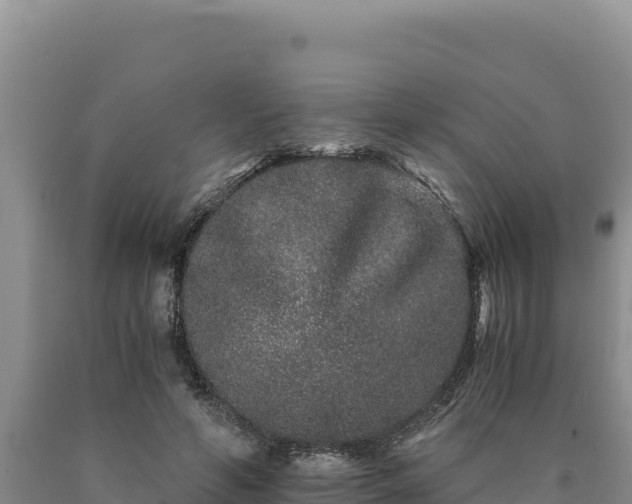 X0000090720594200707271154