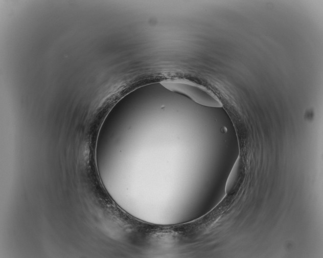 X0000090720595200707271154