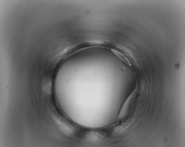 X0000090720596200707271154