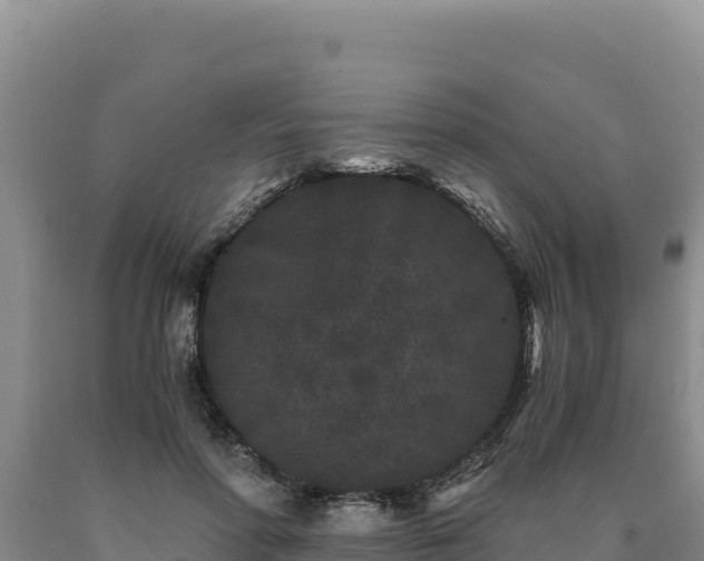 X0000090720598200707271154