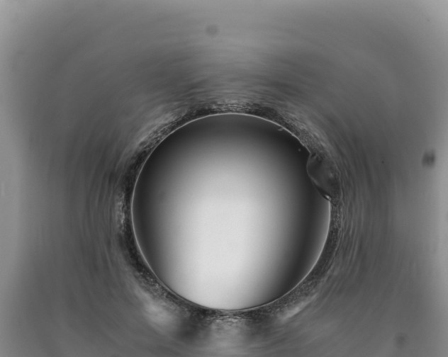 X0000090720599200707271154