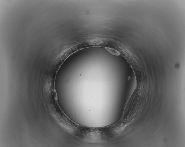 X0000090720600200707271154