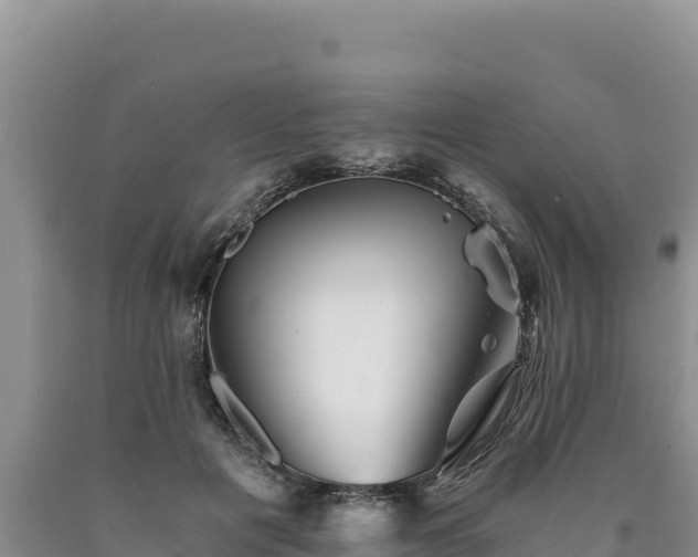 X0000090720601200707271154