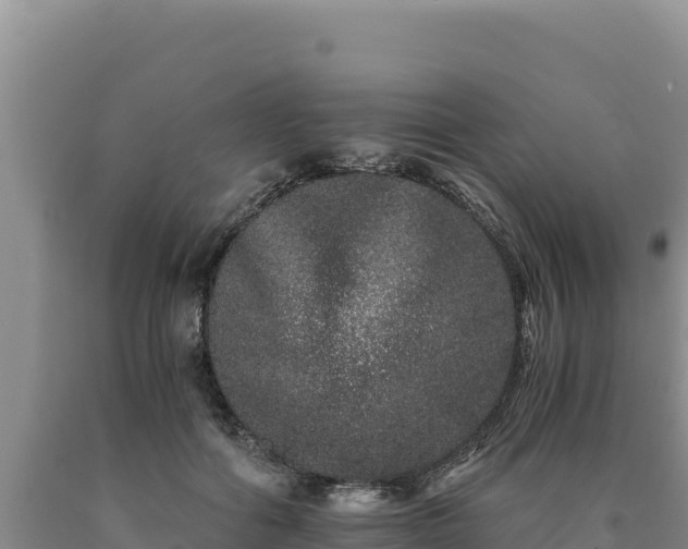X0000090720602200707271154