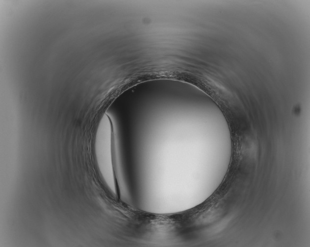 X0000090720603200707271154