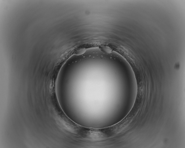 X0000090720605200707271154