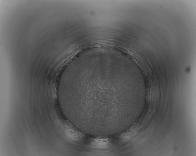 X0000090720606200707271154