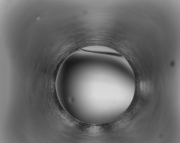 X0000090720609200707271154