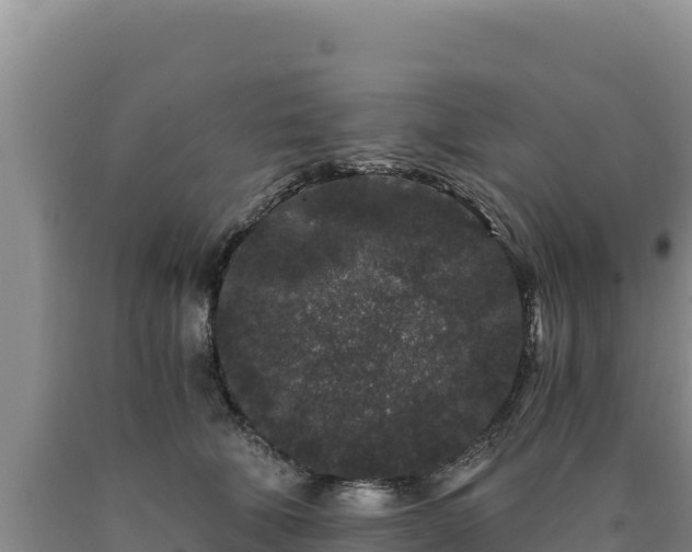 X0000090720610200707271154
