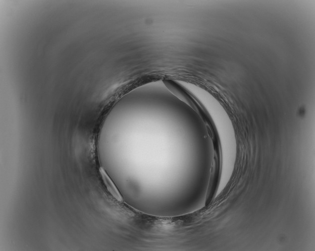 X0000090720613200707271154