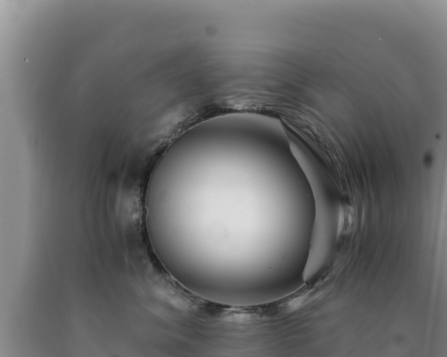 X0000090720620200707271154