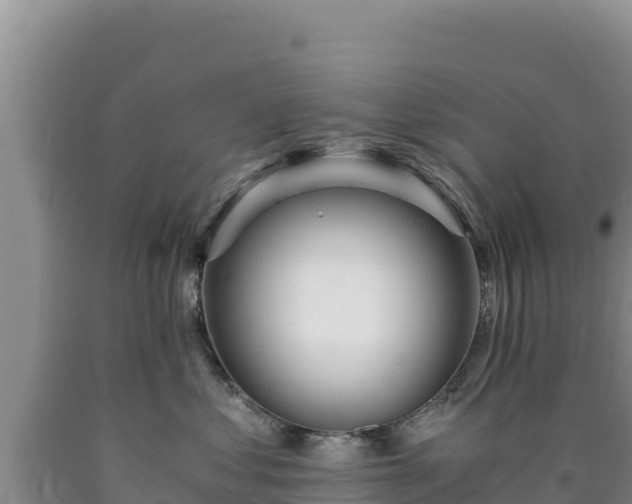 X0000090720621200707271154