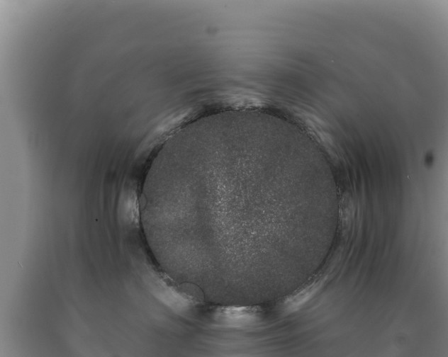 X0000090720622200707271154