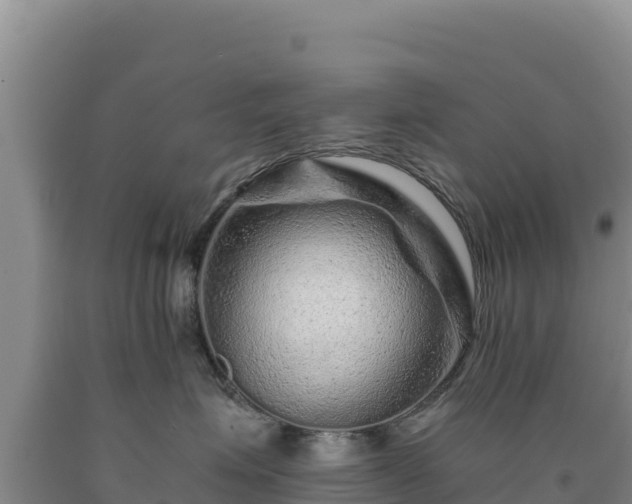 X0000090720623200707271154