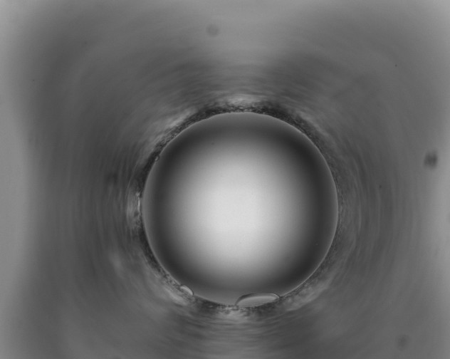 X0000090720624200707271154
