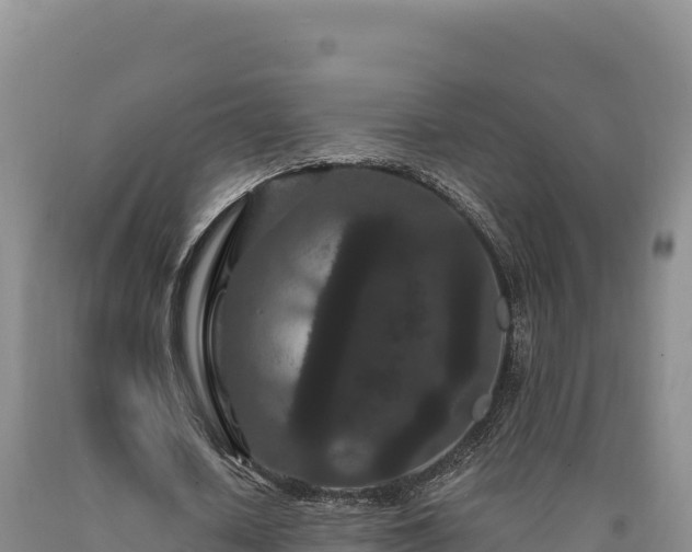 X0000090720626200707271153
