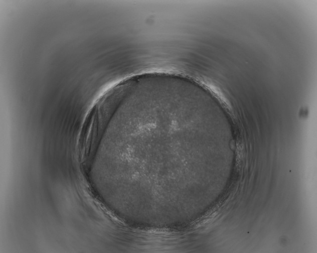 X0000090720628200707271153