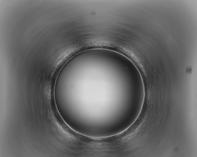 X0000090720629200707271153