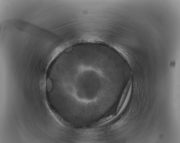 X0000090720630200707271153