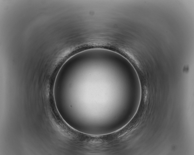X0000090720631200707271153