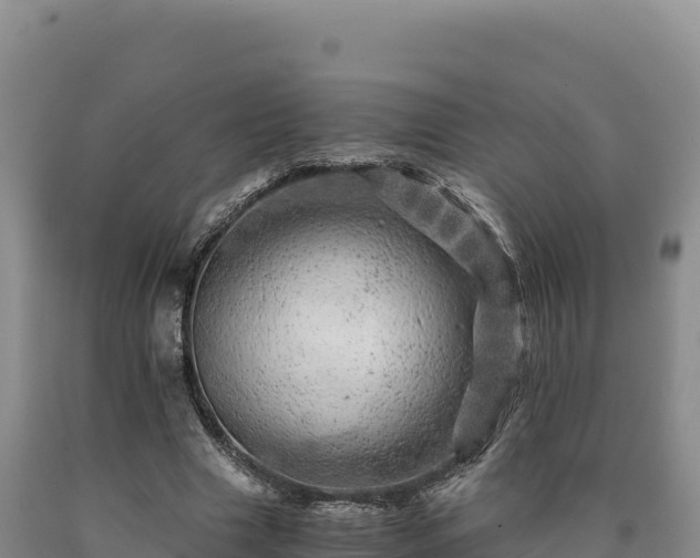 X0000090720633200707271153