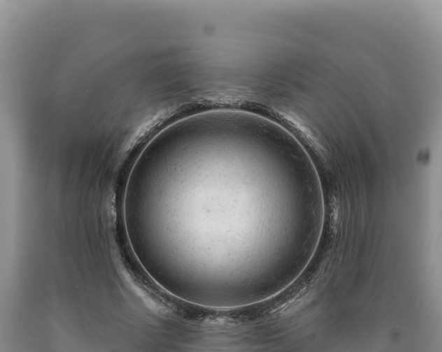 X0000090720634200707271153