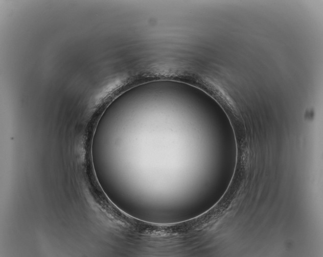 X0000090720635200707271153