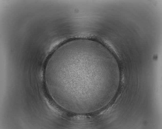 X0000090720636200707271153