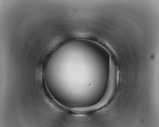 X0000090720637200707271153