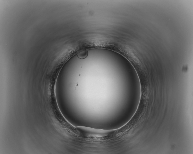 X0000090720639200707271153