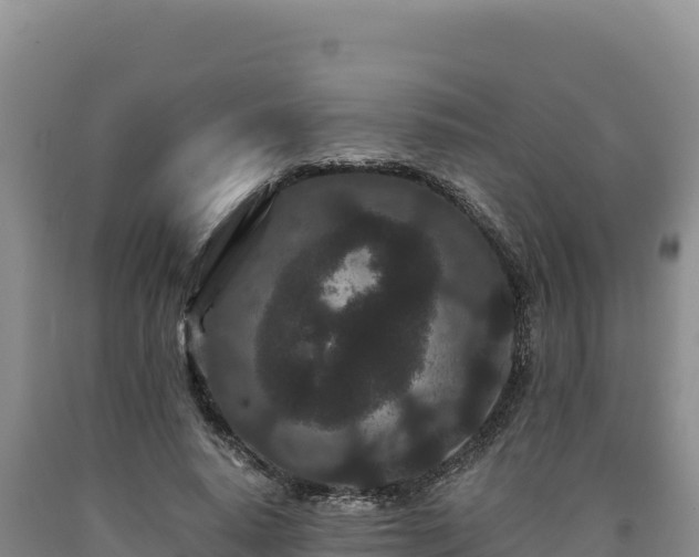 X0000090720640200707271153