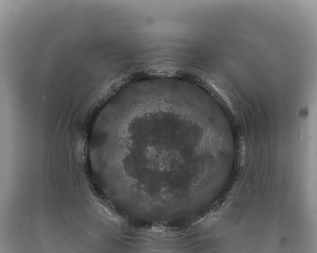 X0000090720641200707271153