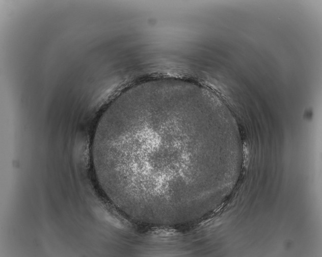 X0000090720642200707271153