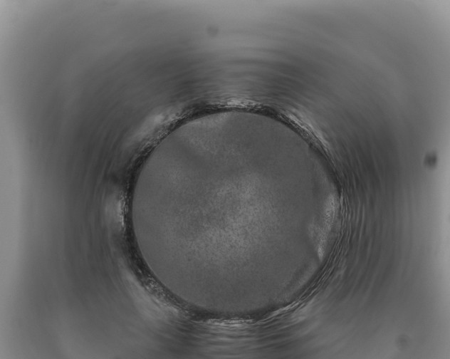 X0000090720643200707271153